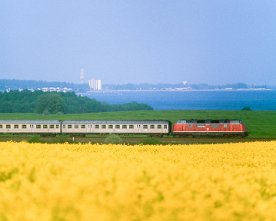 036634_220_wintershagen DB 220 039 (E3484) zwischen Sierksdorf und Neustadt