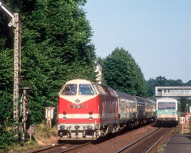 071336_dr119_628_ffruh.1280 DR 119 129 (E7074 Schwerin - Hmb-Bergedorf ), DB 628 206 (RB 6881 Aumühle - Büchen), Friedrichsruh