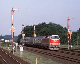 073737_219_nettelnburg.1280 DR 219 129 (von E7074 Schwerin - Hmb-Bergedorf) zum Umlaufen bei S-Bahn-Hst Nettelnburg