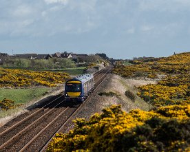 20150511-HE-547.1280 ScotRail 170403 (09.07 Aberdeen - Edinburgh) im Ginster bei Newtonhill