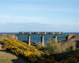 20150511-HE-754.1280 Abellio ScotRail 170 noch in First Livery über einem Meer von Ginster und der Nordsee auf dem Muchalls Viaduct